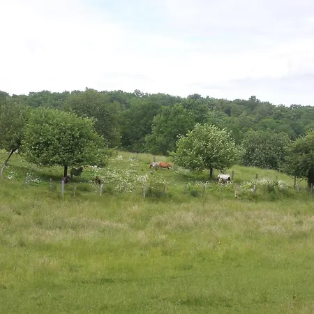 Holiday home Pavillon De Chasse - Aile Est