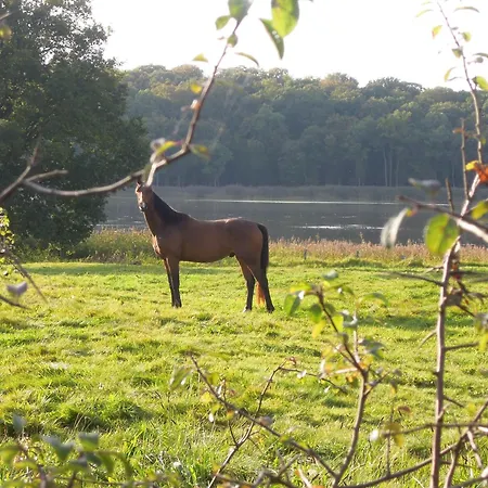 Holiday home Pavillon De Chasse - Aile Est